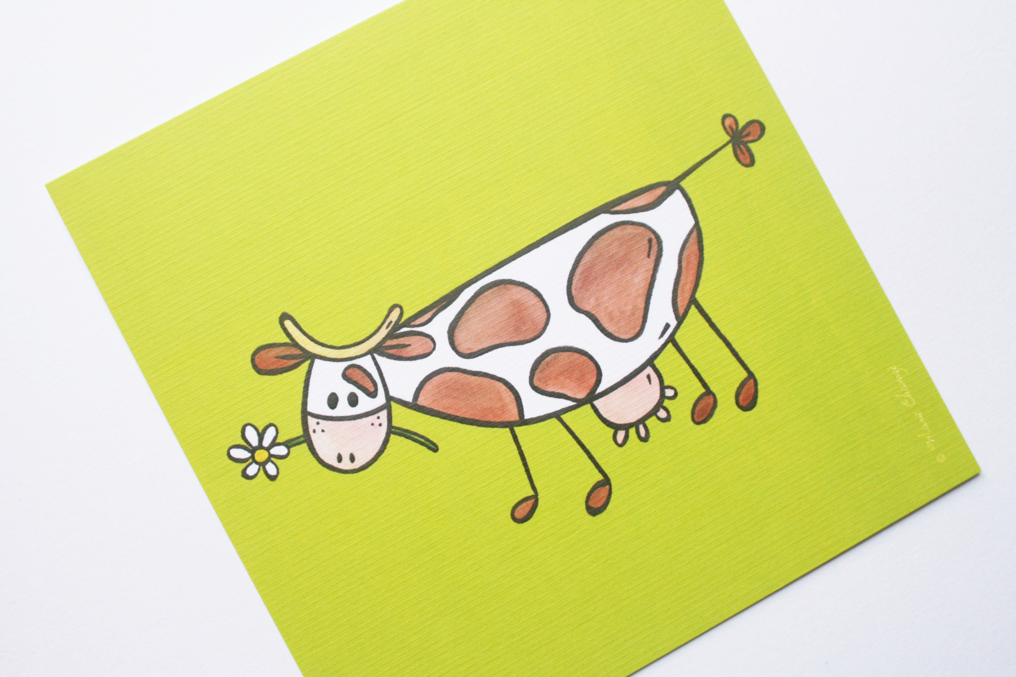 Vache normande 