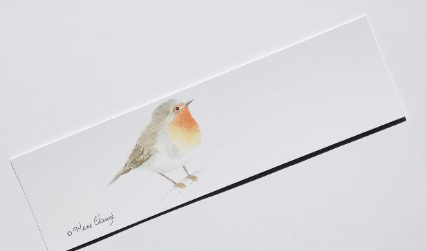 Rouge gorge