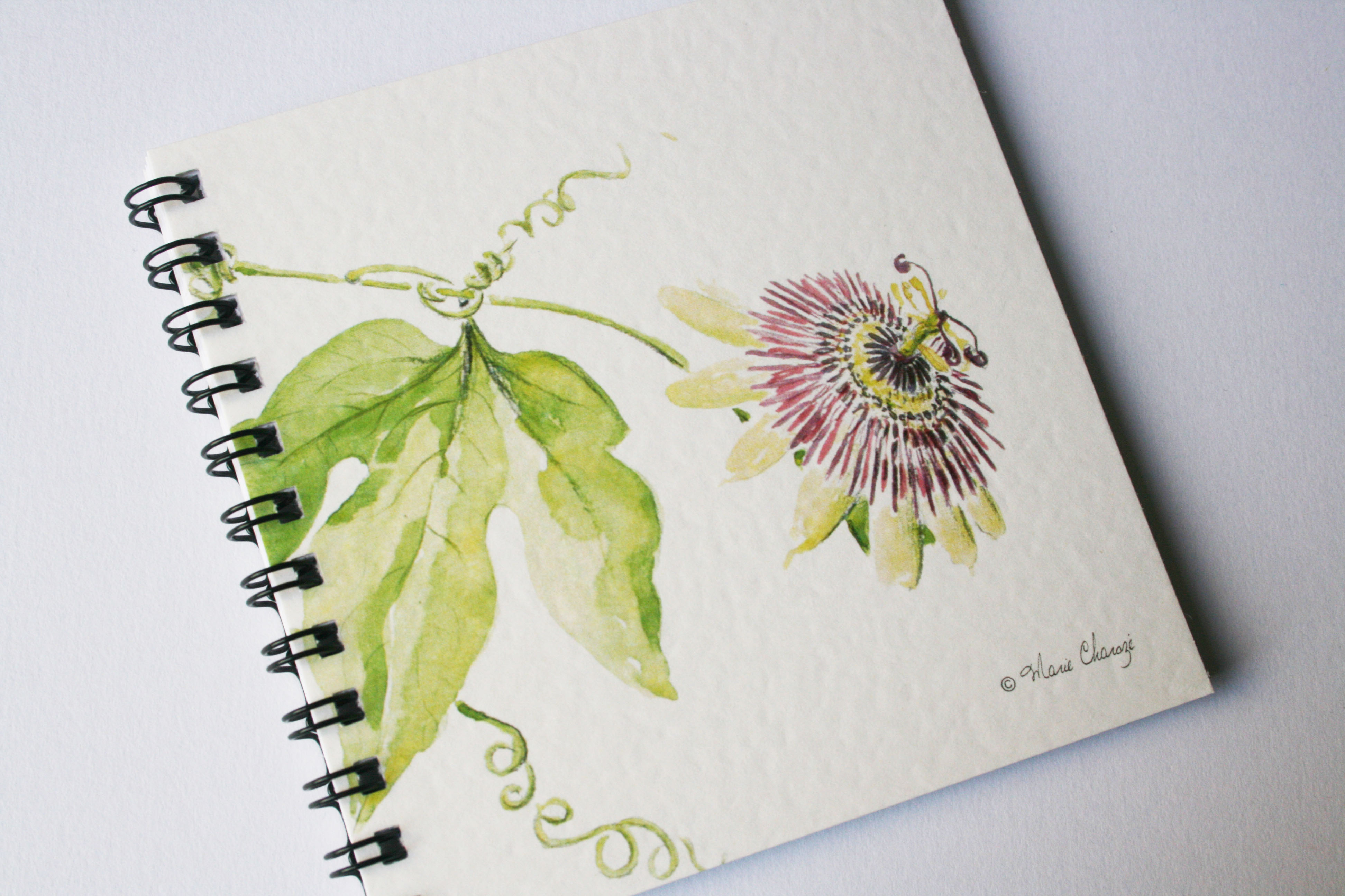 Passiflore