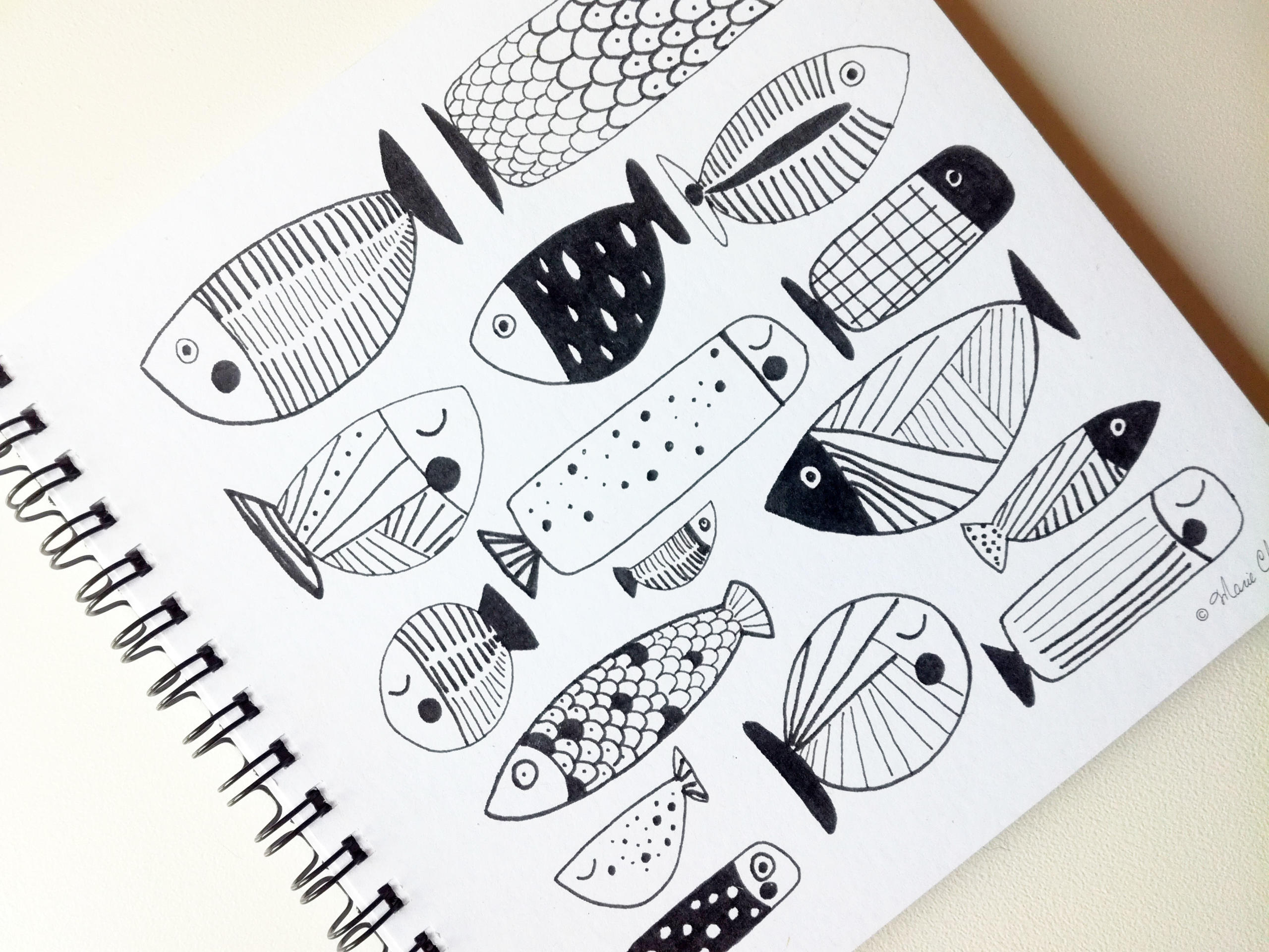 CH04 Poissons