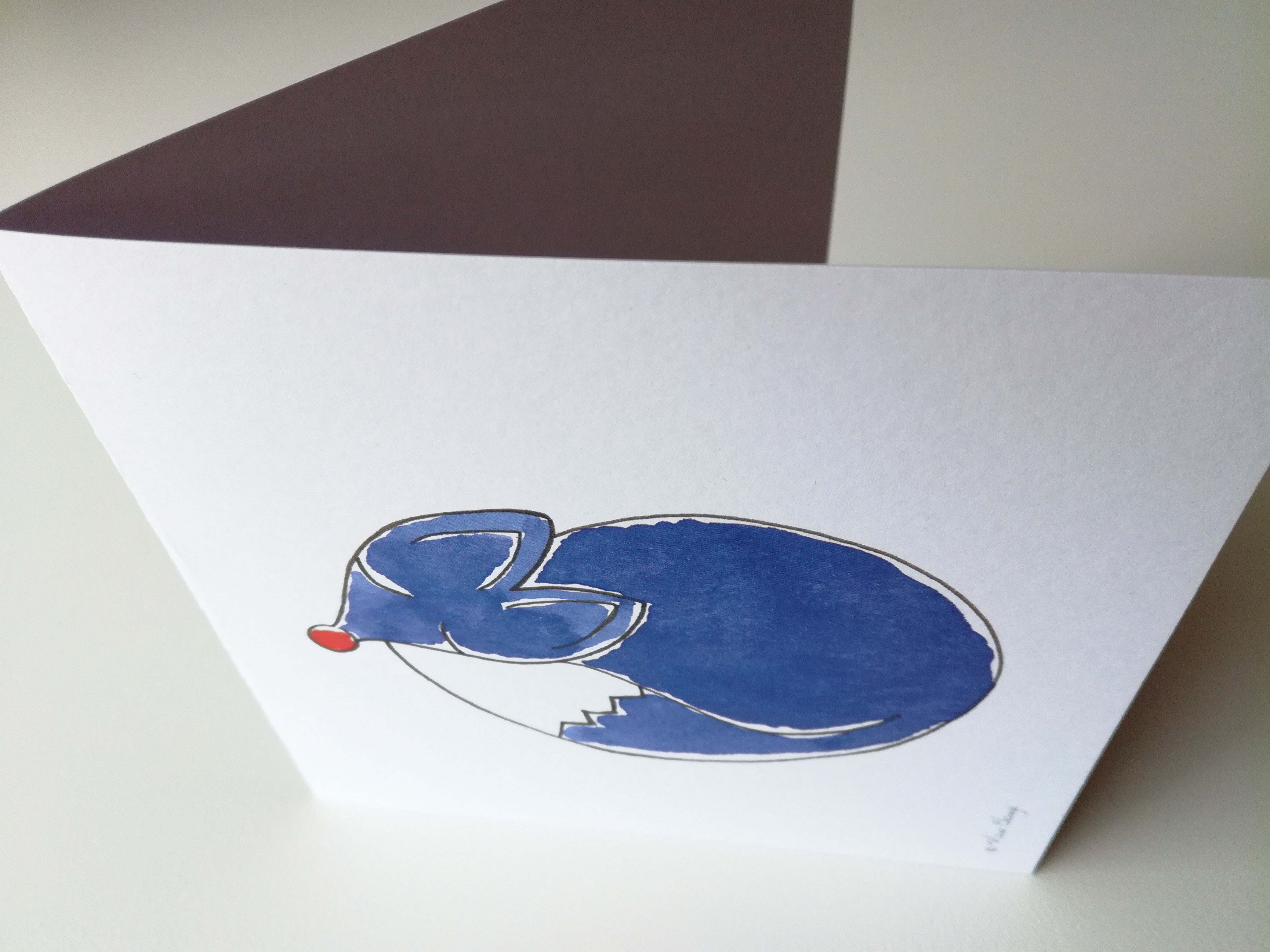 0502 Renard bleu ouvert