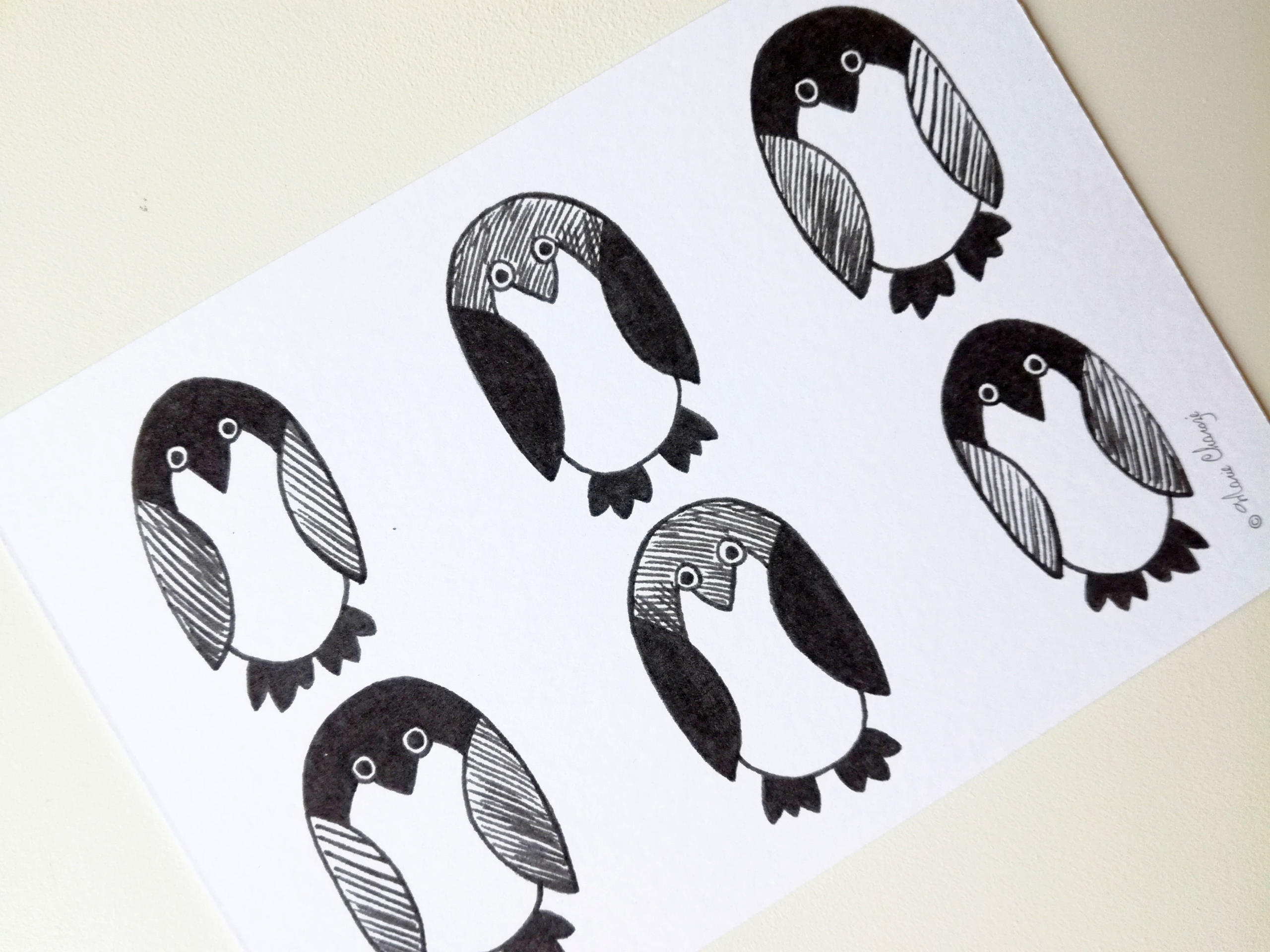 0110B Pingouins