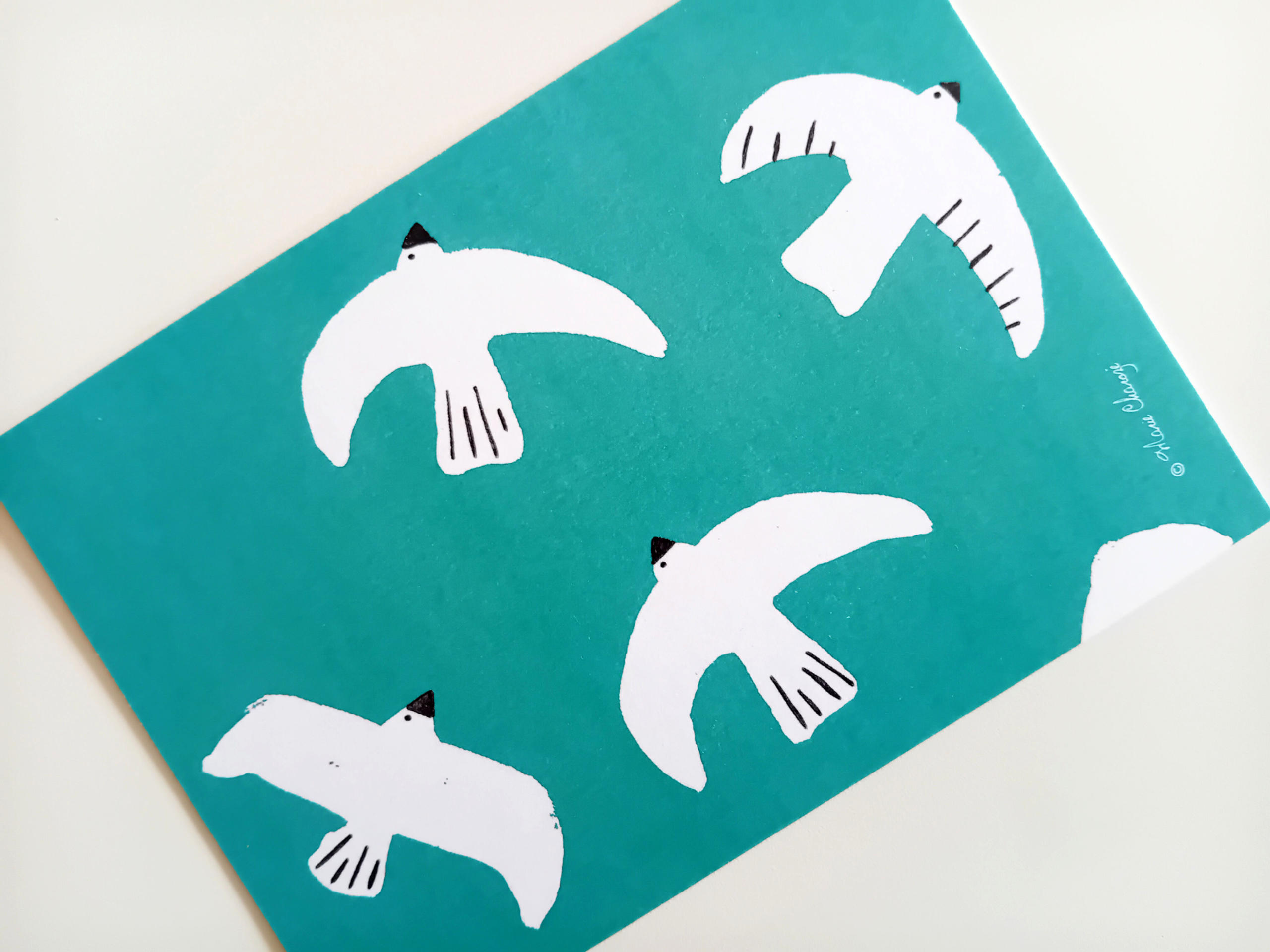 0112B Oiseaux blancs
